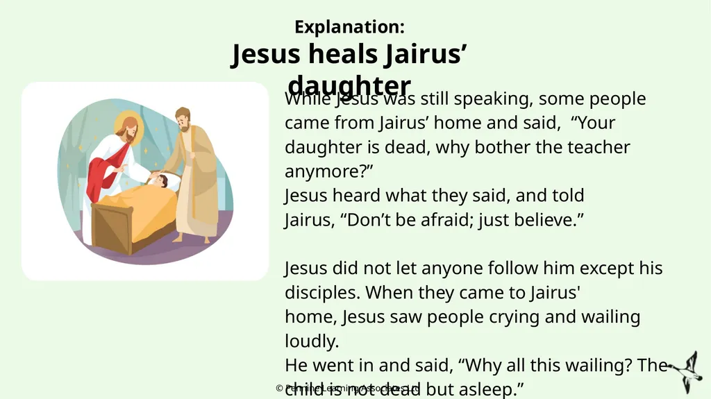 Thank you for using this resource. We hope it - slide 11 of 22