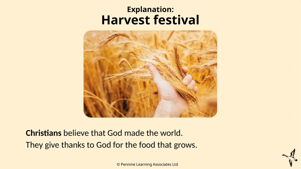 Thank you for using this resource. We hope it - slide 10 of 23