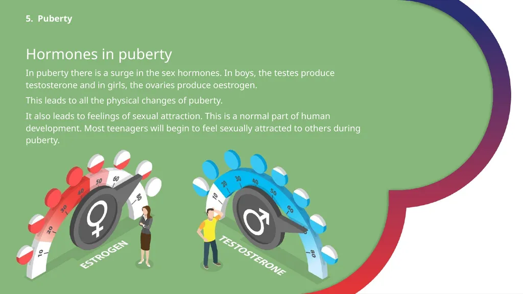 Year A Module 1: My Identity 5. Puberty Puberty In - slide 4 of 6