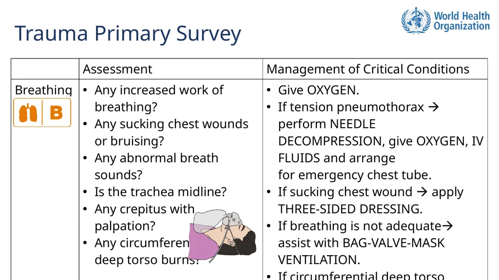 Basic Emergency Care Approach to the acutely ill - slide 6 of 16