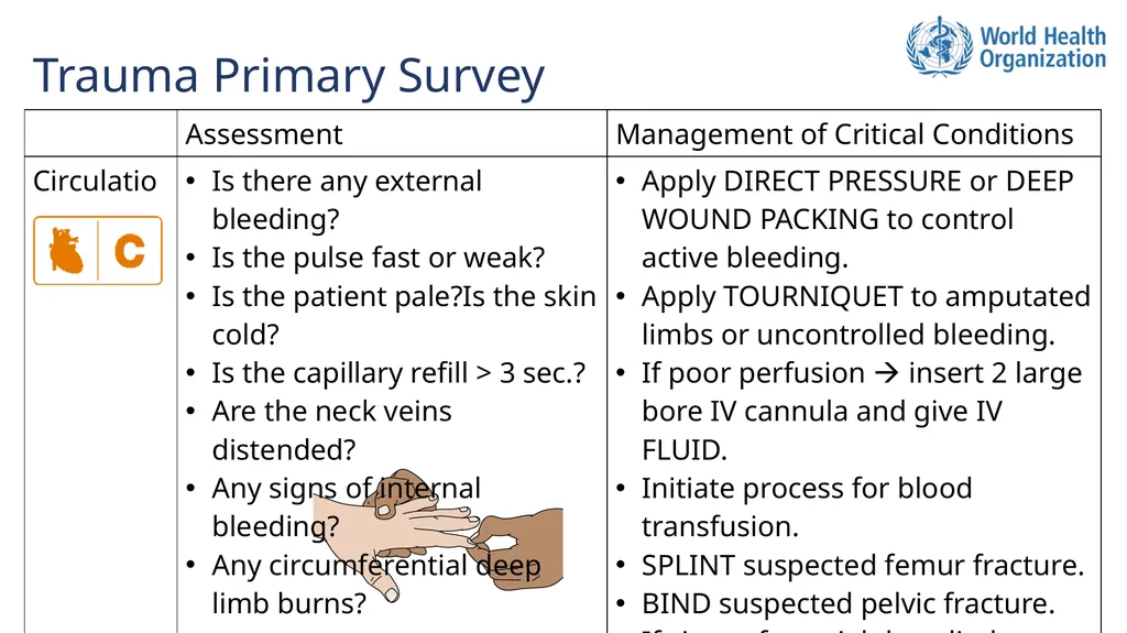 Basic Emergency Care Approach to the acutely ill - slide 7 of 16
