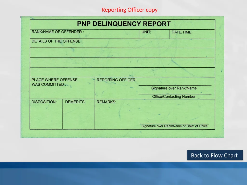 SUPPLEMENTAL GUIDELINES ON THE DELINQUENCY REPORT - slide 26 of 26