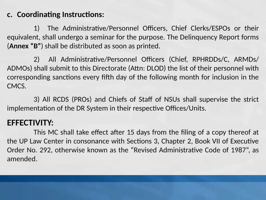 SUPPLEMENTAL GUIDELINES ON THE DELINQUENCY REPORT - slide 13 of 26