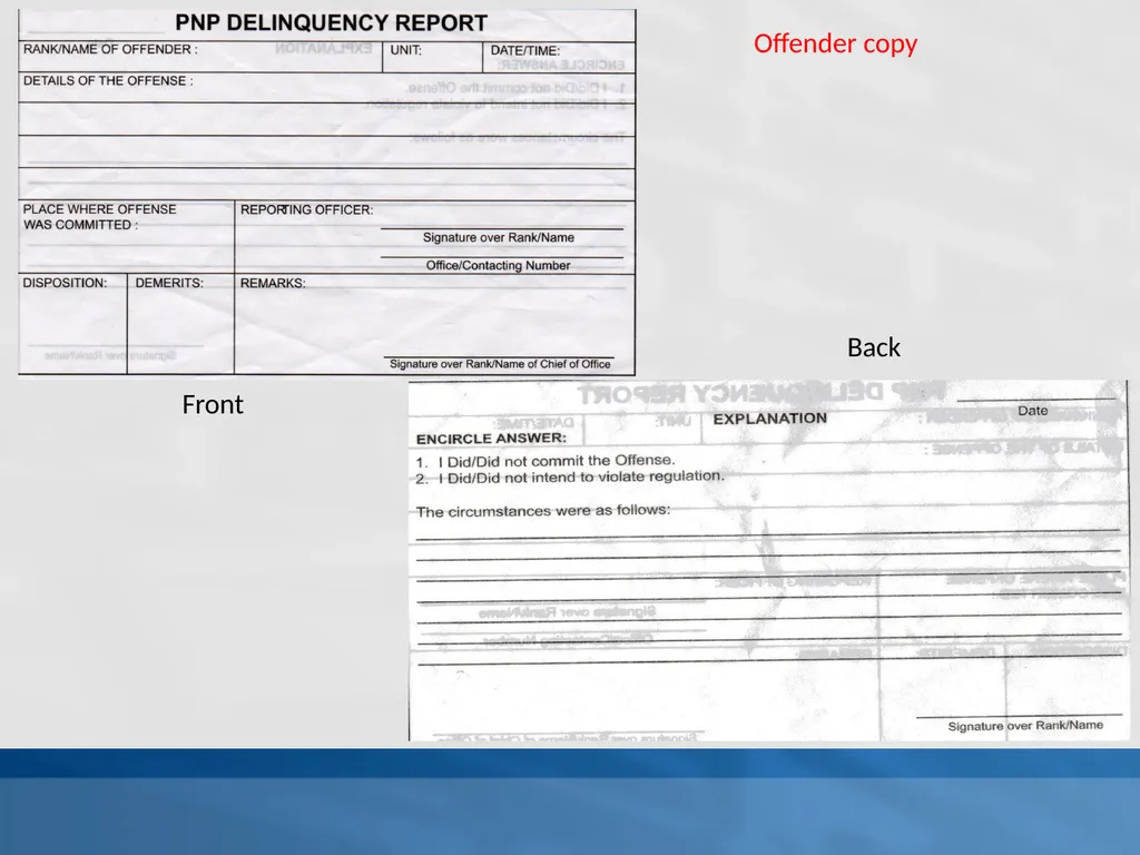 SUPPLEMENTAL GUIDELINES ON THE DELINQUENCY REPORT - slide 24 of 26