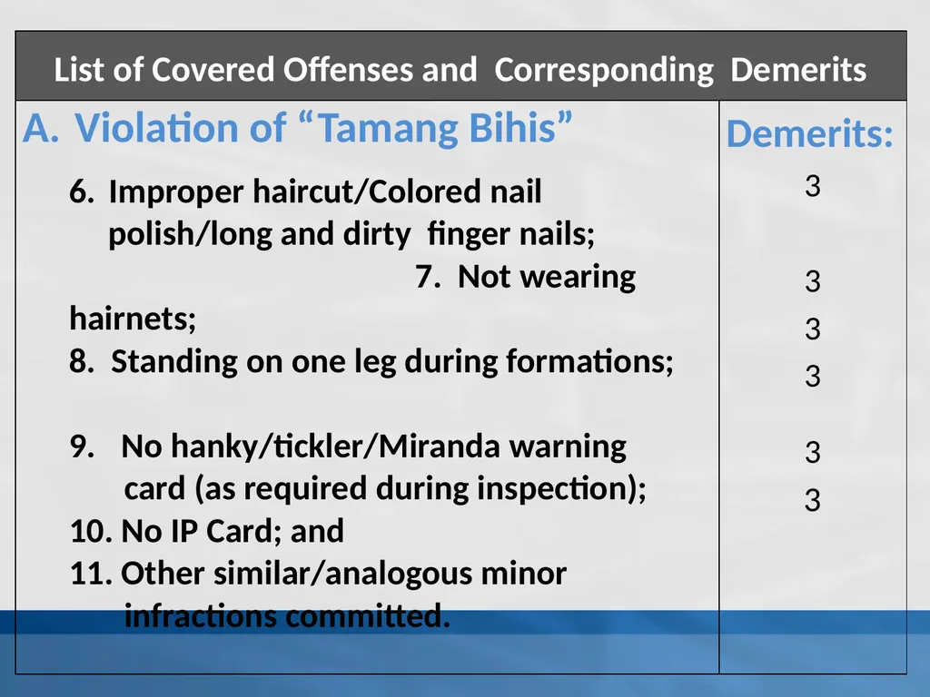 SUPPLEMENTAL GUIDELINES ON THE DELINQUENCY REPORT - slide 18 of 26
