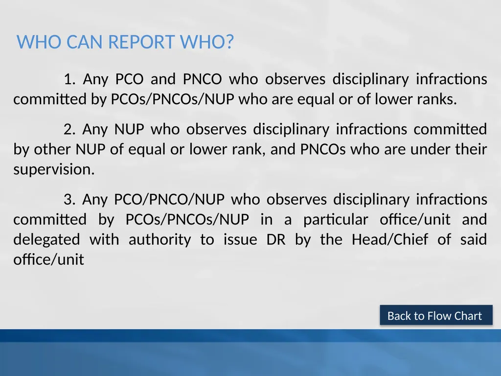 SUPPLEMENTAL GUIDELINES ON THE DELINQUENCY REPORT - slide 16 of 26
