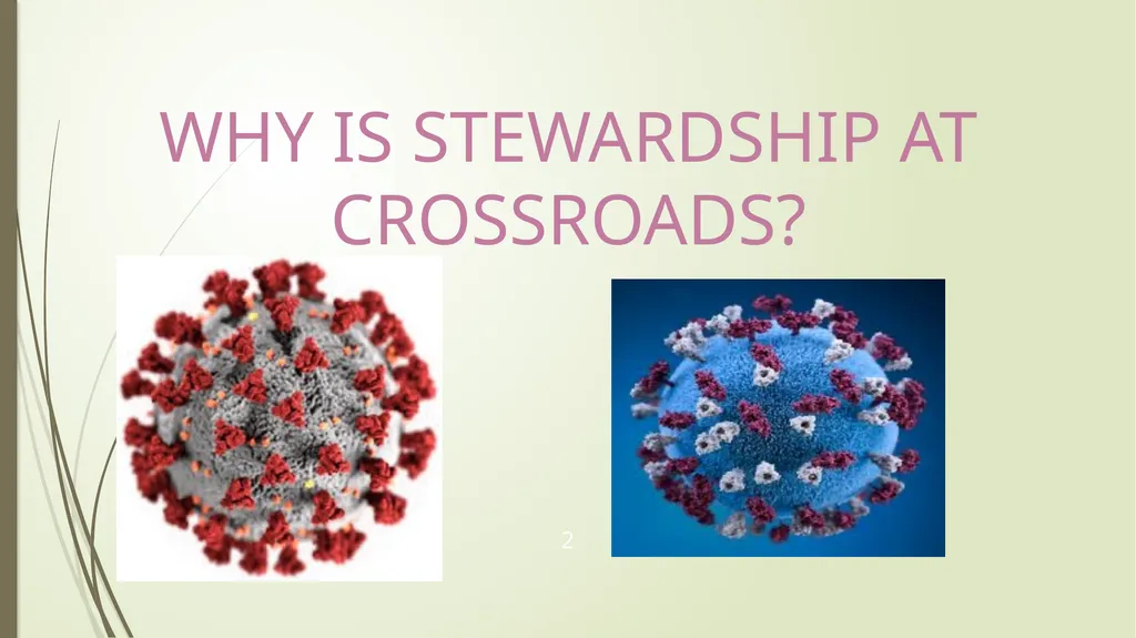 WHY IS STEWARDSHIP AT CROSSROADS? . 2 - slide 2 of 28
