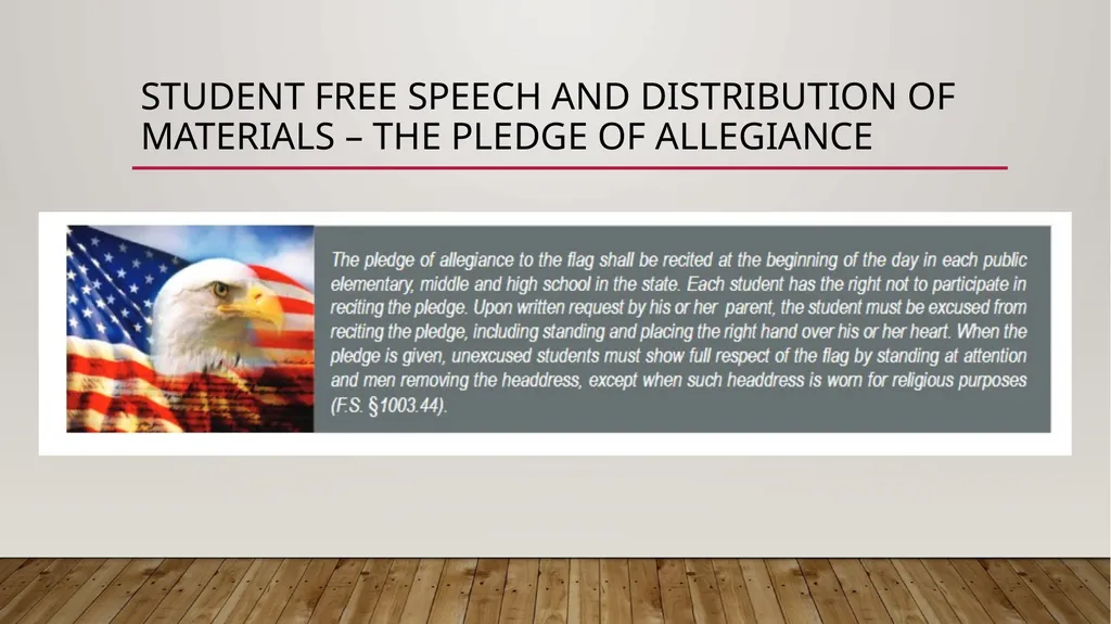 Broward County Public Schools Code of Conduct - slide 18 of 20
