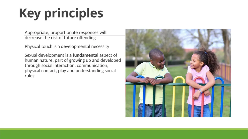 HSB- Harmful Sexual Behaviour Janet Mulvihill - slide 21 of 30