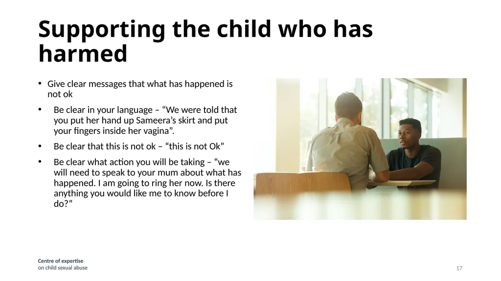HSB- Harmful Sexual Behaviour Janet Mulvihill - slide 17 of 30