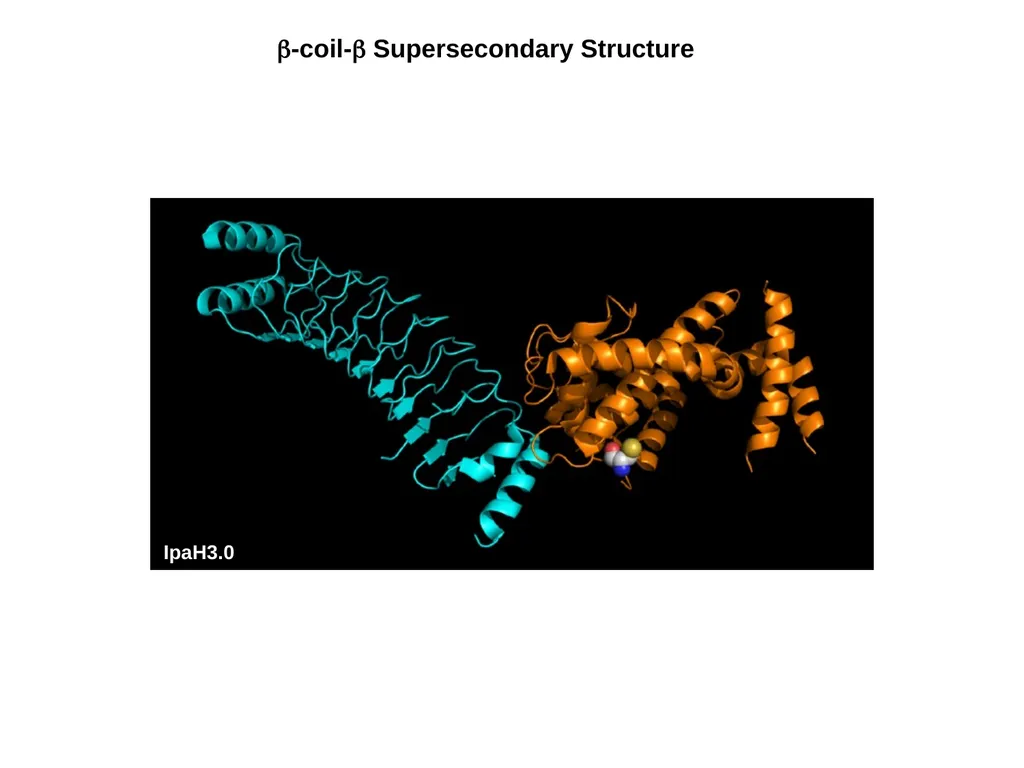 Protein Structure 2 Higher Order Protein - slide 9 of 11