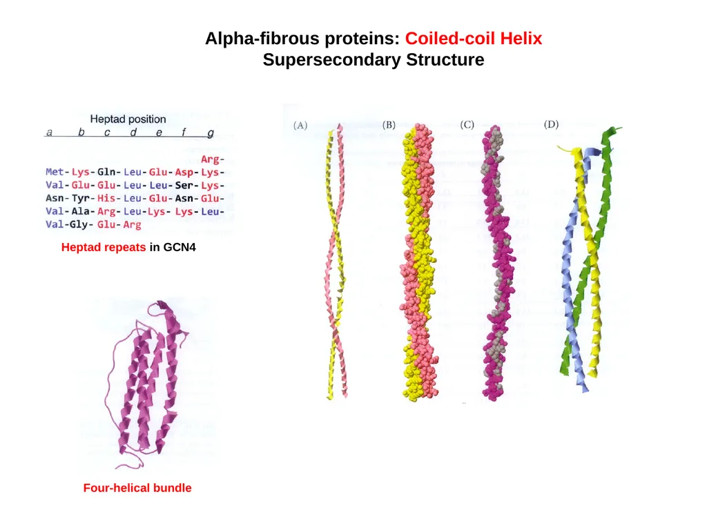 Protein Structure 2 Higher Order Protein - slide 3 of 11