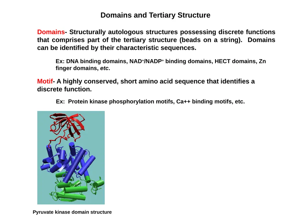 Protein Structure 2 Higher Order Protein - slide 10 of 11