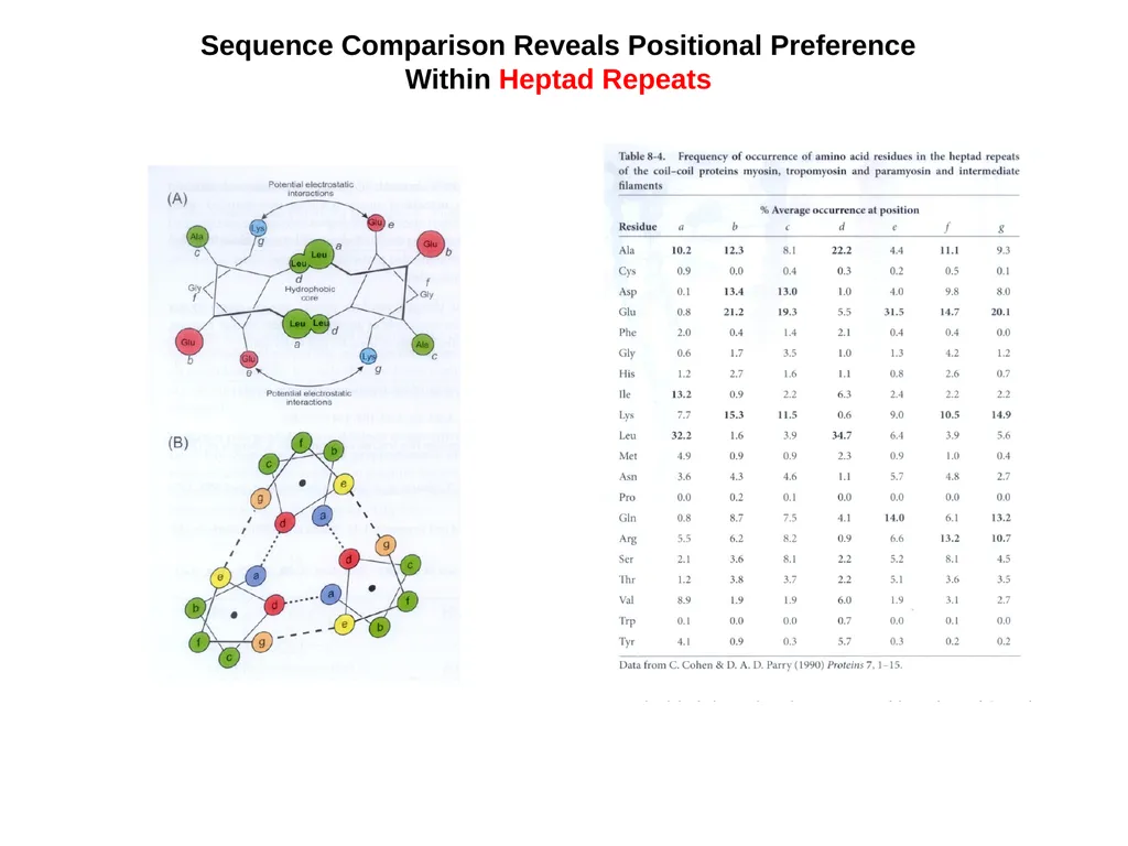 Protein Structure 2 Higher Order Protein - slide 4 of 11