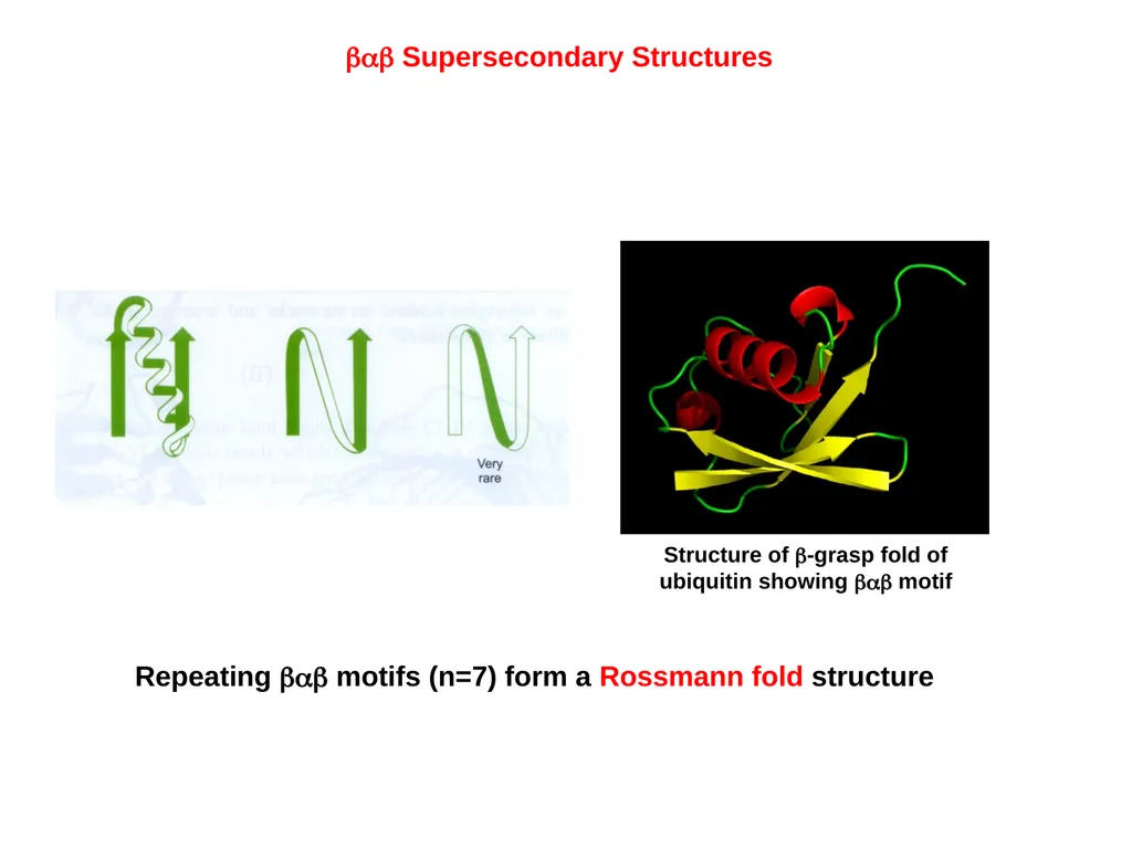 Protein Structure 2 Higher Order Protein - slide 7 of 11