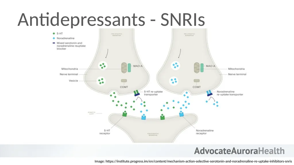 An Introduction to Behavioral Health - slide 30 of 113