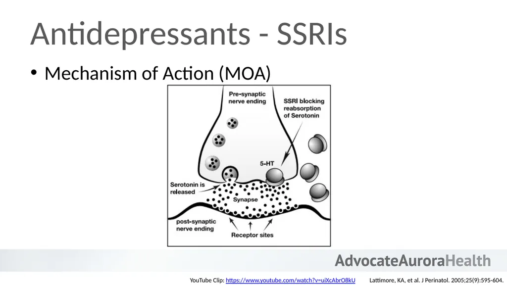 An Introduction to Behavioral Health - slide 28 of 113