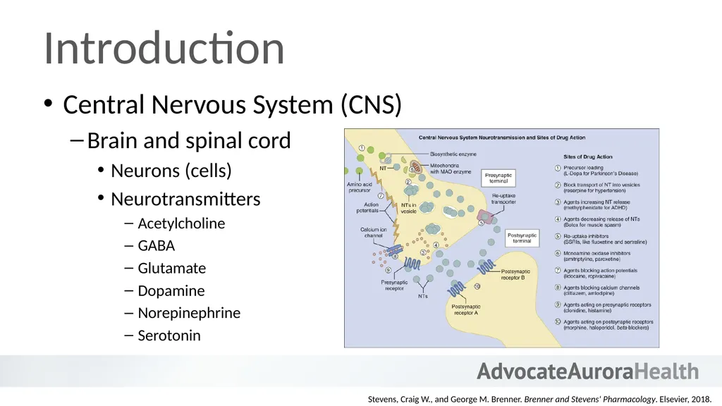 An Introduction to Behavioral Health - slide 10 of 113