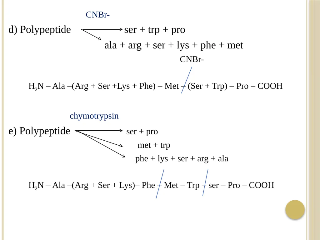 Chapter 3: Proteins Protein Biochemistry (BCH 303) - slide 102 of 107