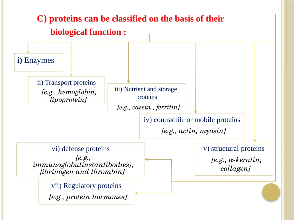 Chapter 3: Proteins Protein Biochemistry (BCH 303) - slide 10 of 107