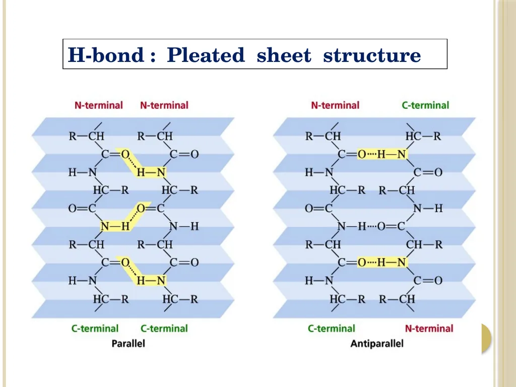 Chapter 3: Proteins Protein Biochemistry (BCH 303) - slide 36 of 107