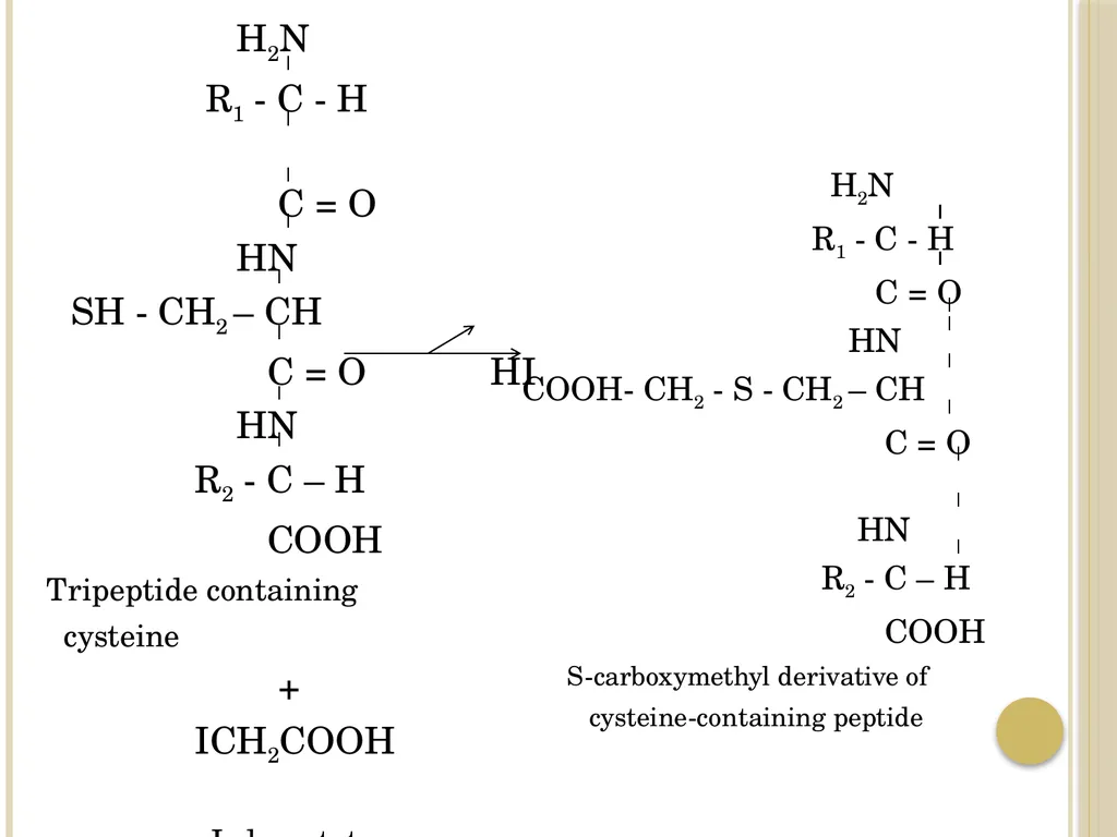 Chapter 3: Proteins Protein Biochemistry (BCH 303) - slide 84 of 107