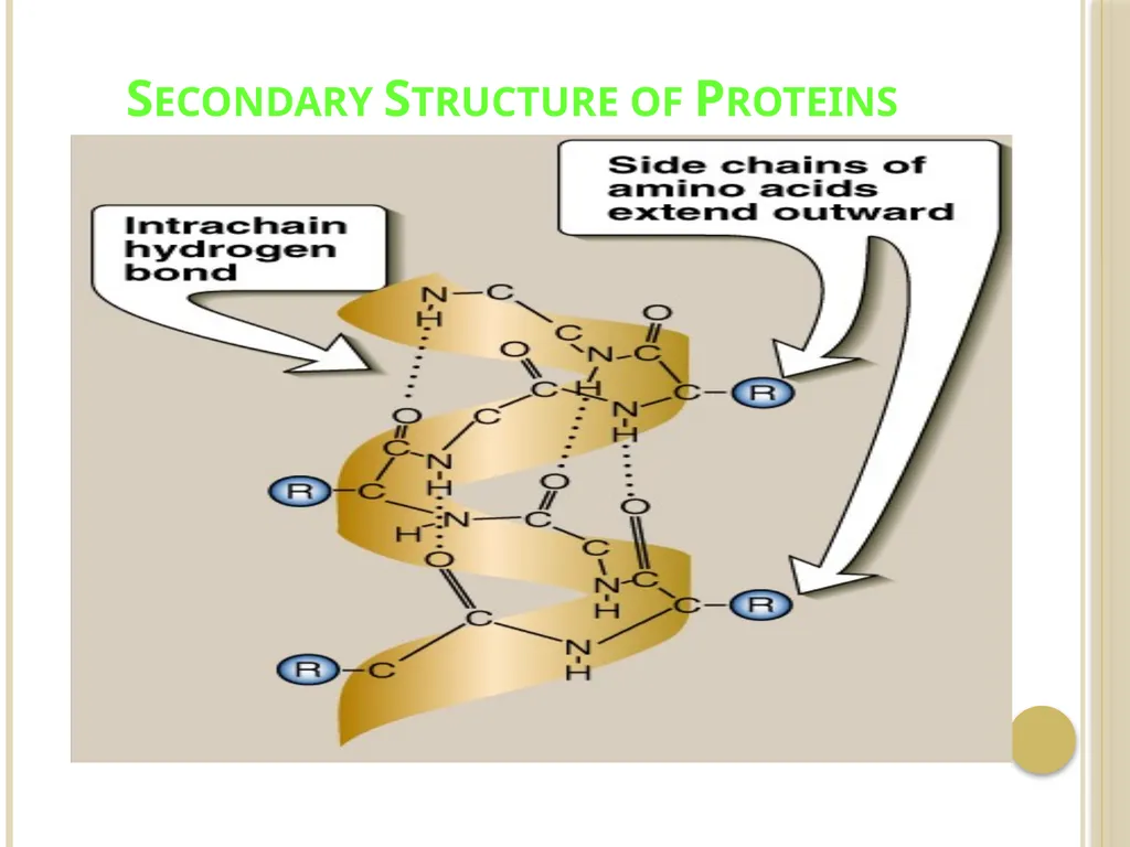 Chapter 3: Proteins Protein Biochemistry (BCH 303) - slide 26 of 107