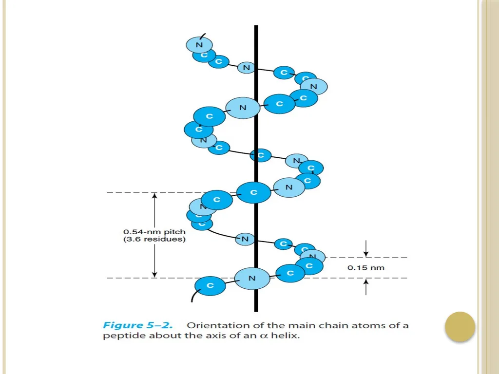 Chapter 3: Proteins Protein Biochemistry (BCH 303) - slide 27 of 107