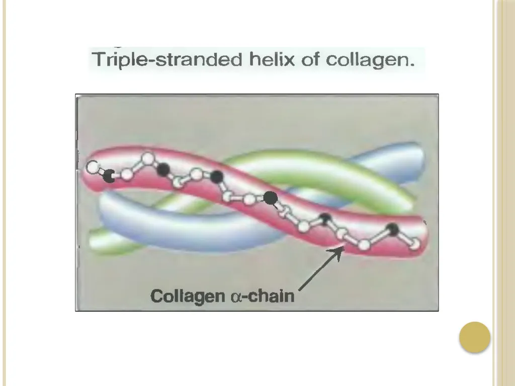 Chapter 3: Proteins Protein Biochemistry (BCH 303) - slide 40 of 107