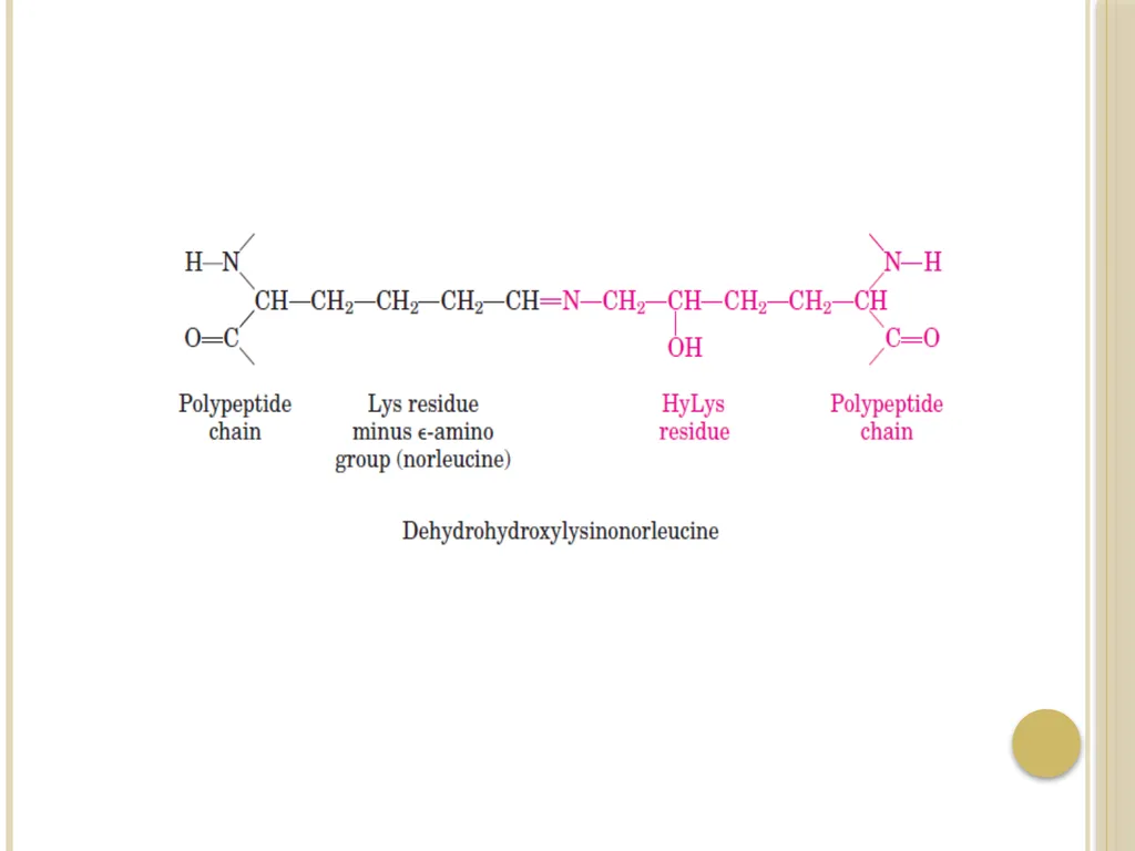 Chapter 3: Proteins Protein Biochemistry (BCH 303) - slide 44 of 107