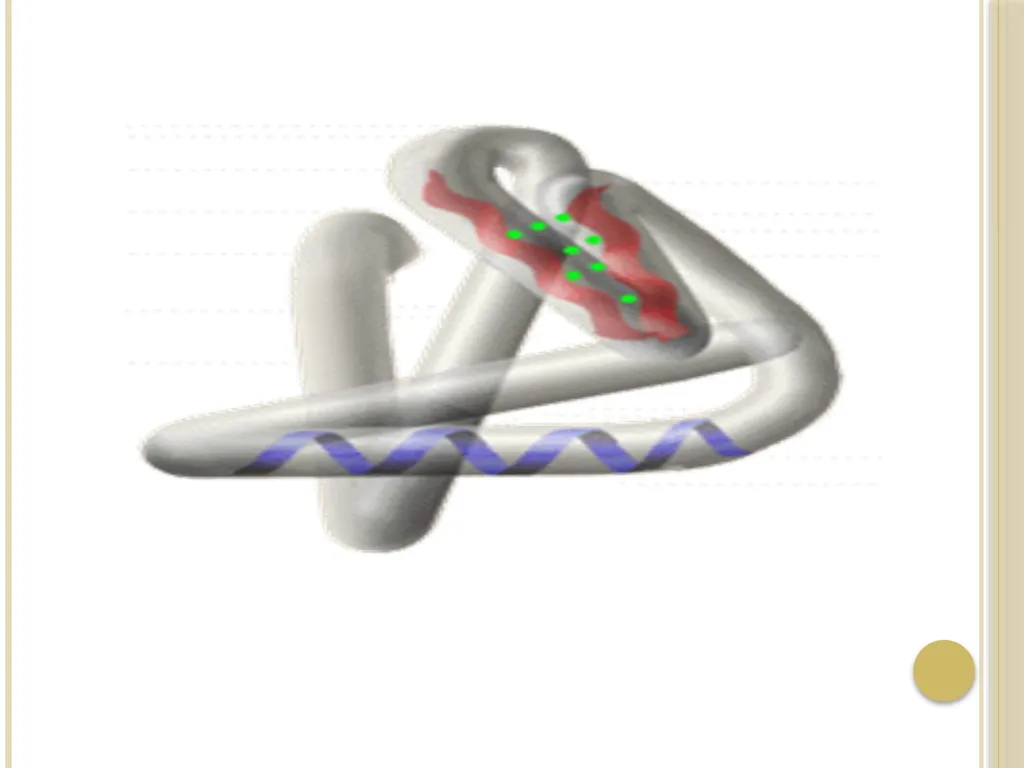 Chapter 3: Proteins Protein Biochemistry (BCH 303) - slide 50 of 107