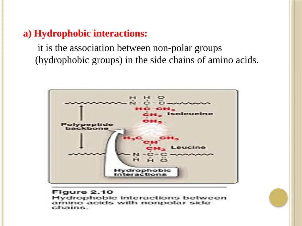 Chapter 3: Proteins Protein Biochemistry (BCH 303) - slide 52 of 107