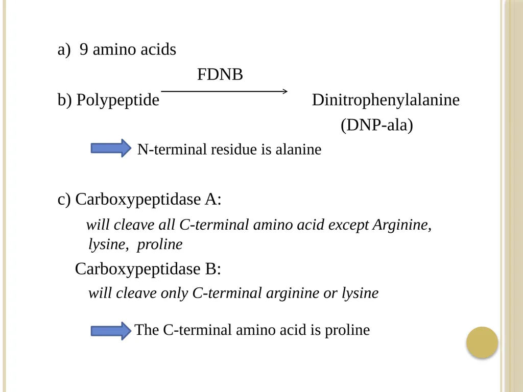Chapter 3: Proteins Protein Biochemistry (BCH 303) - slide 101 of 107