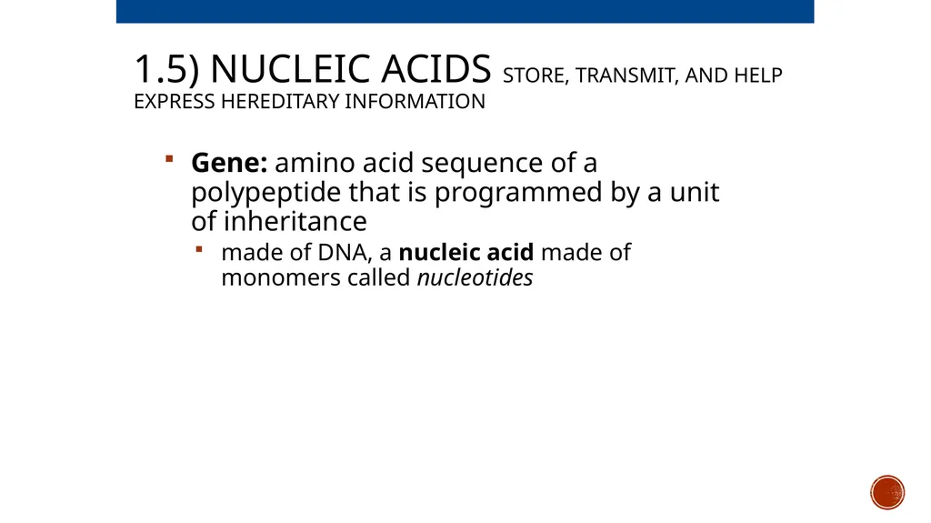 Macromolecules AP Biology 2018 Overview: The - slide 71 of 91