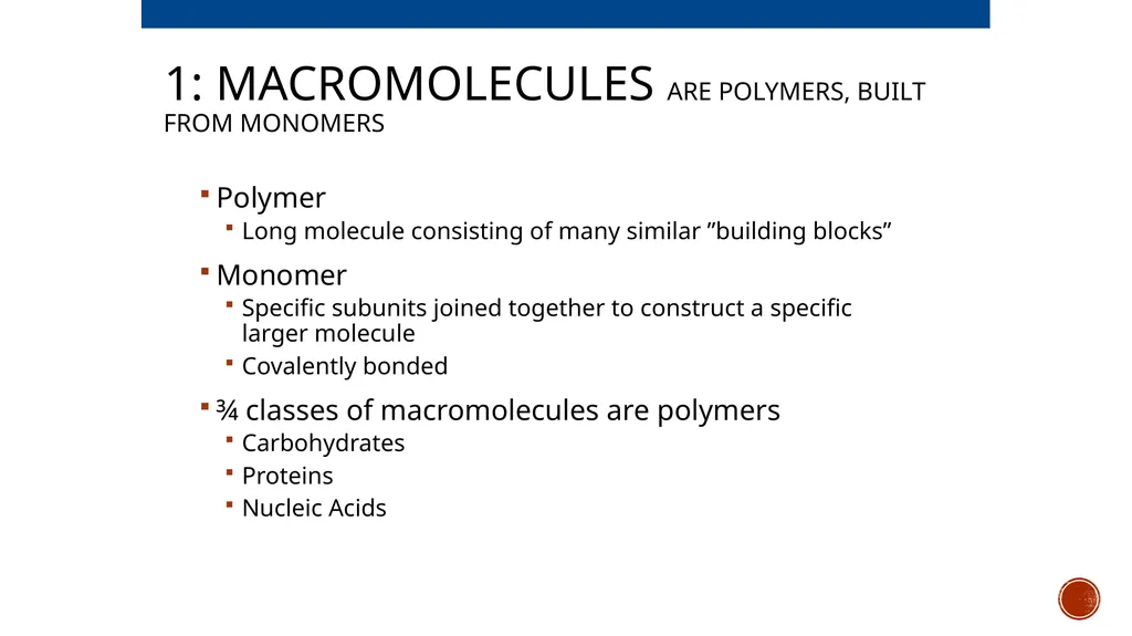Macromolecules AP Biology 2018 Overview: The - slide 3 of 91