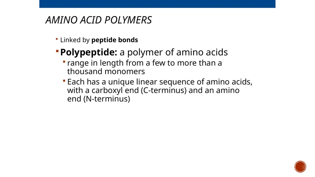 Macromolecules AP Biology 2018 Overview: The - slide 48 of 91
