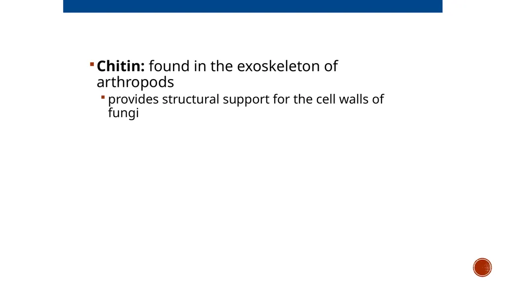 Macromolecules AP Biology 2018 Overview: The - slide 22 of 91