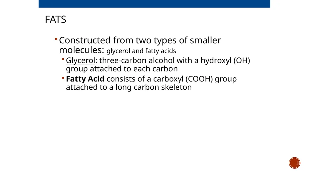 Macromolecules AP Biology 2018 Overview: The - slide 25 of 91