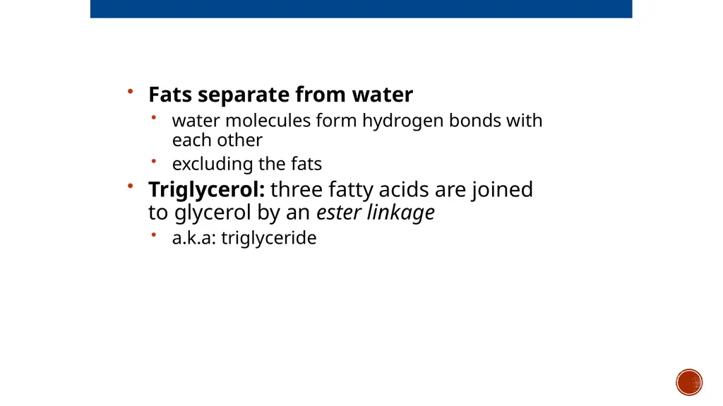 Macromolecules AP Biology 2018 Overview: The - slide 27 of 91