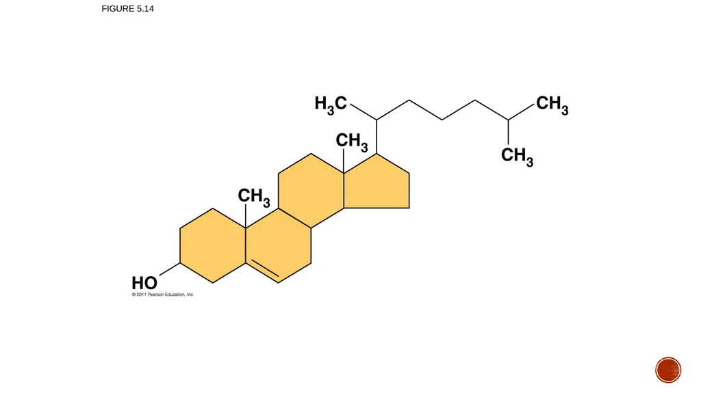 Macromolecules AP Biology 2018 Overview: The - slide 39 of 91