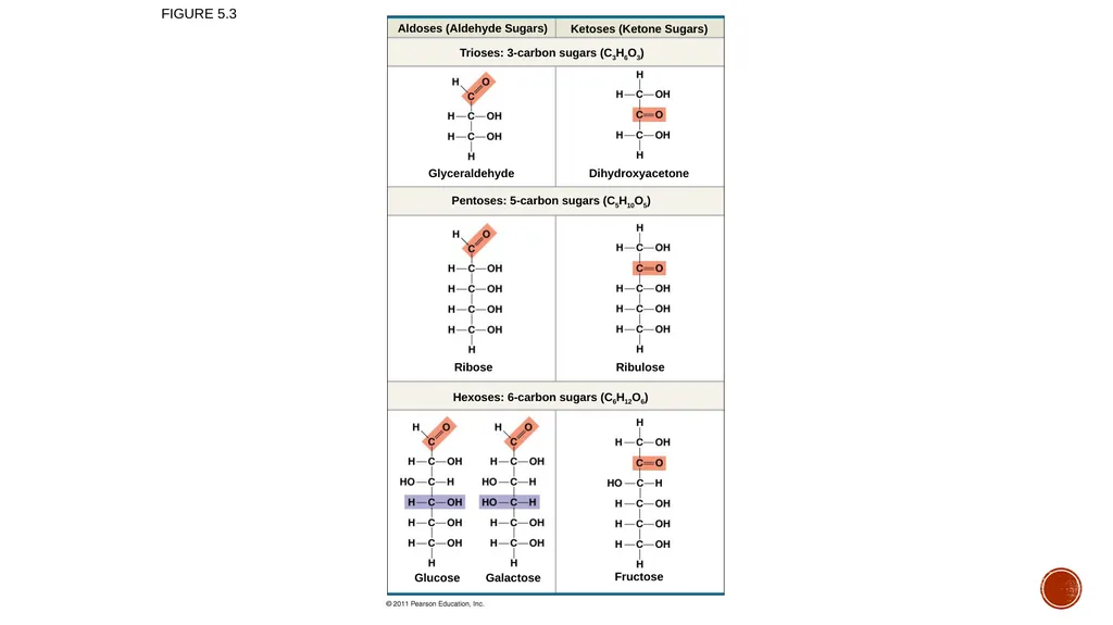 Macromolecules AP Biology 2018 Overview: The - slide 8 of 91