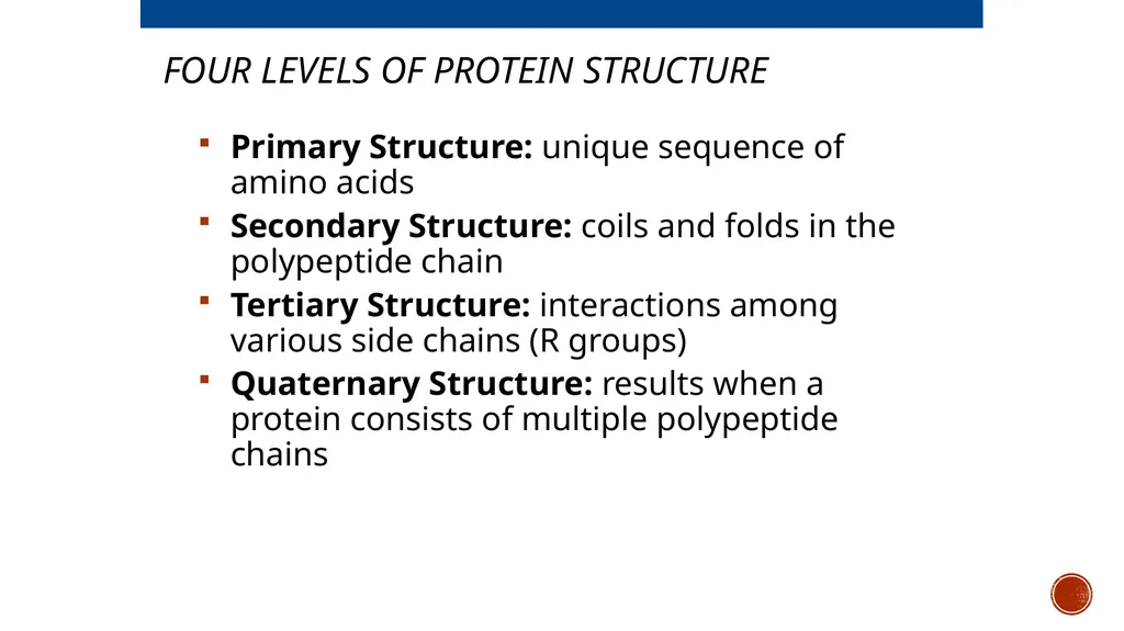 Macromolecules AP Biology 2018 Overview: The - slide 53 of 91