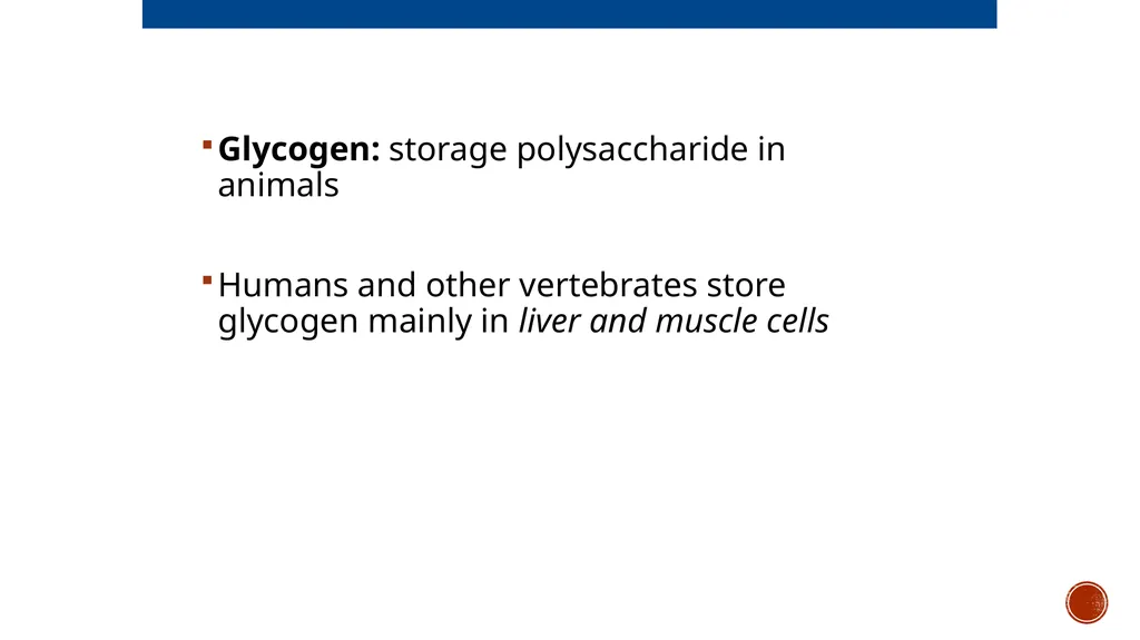 Macromolecules AP Biology 2018 Overview: The - slide 16 of 91