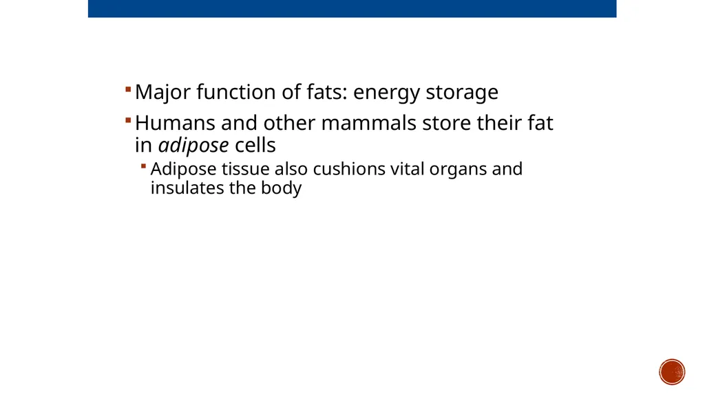 Macromolecules AP Biology 2018 Overview: The - slide 33 of 91