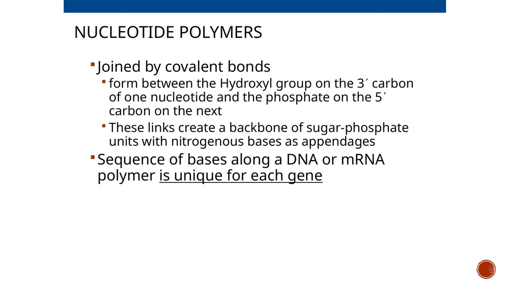 Macromolecules AP Biology 2018 Overview: The - slide 77 of 91
