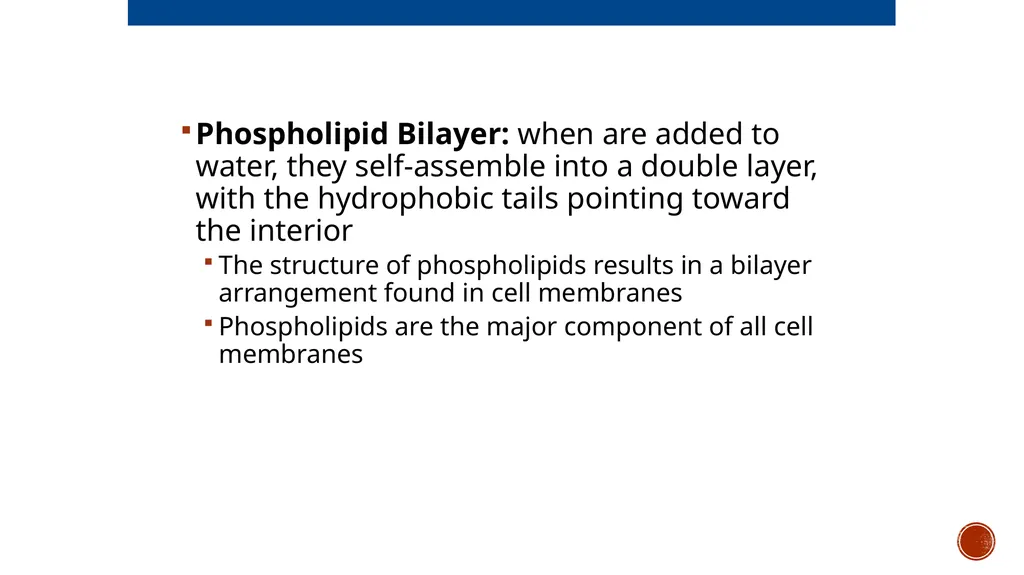 Macromolecules AP Biology 2018 Overview: The - slide 36 of 91