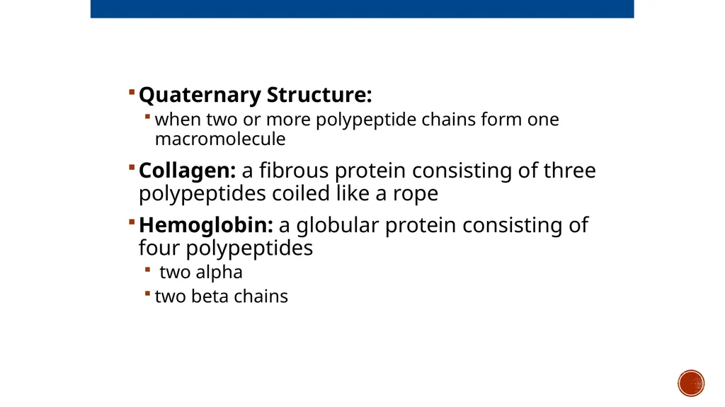 Macromolecules AP Biology 2018 Overview: The - slide 61 of 91