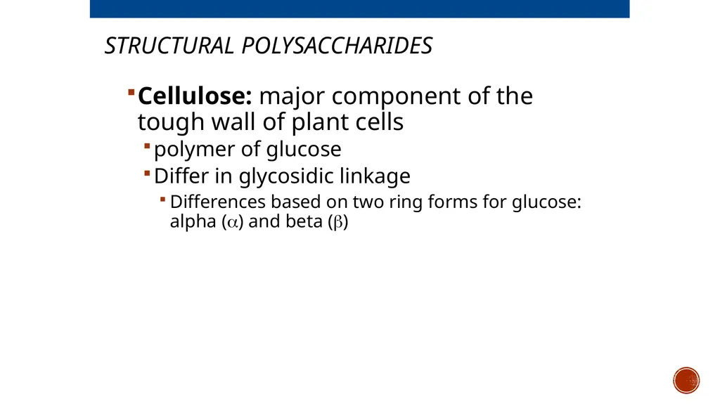 Macromolecules AP Biology 2018 Overview: The - slide 17 of 91