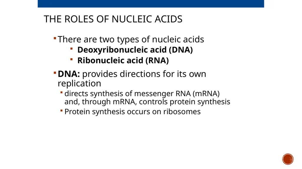 Macromolecules AP Biology 2018 Overview: The - slide 72 of 91