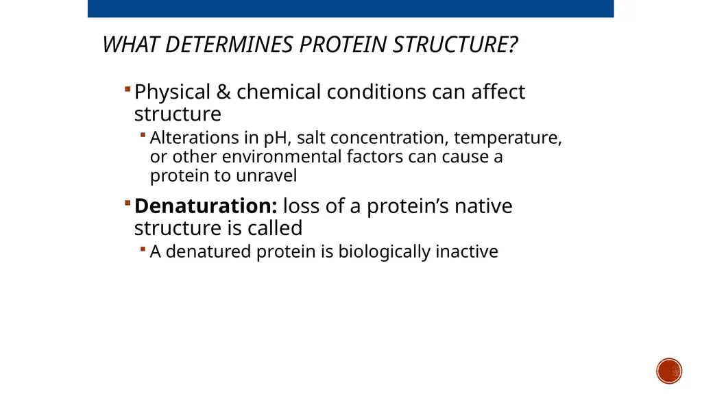Macromolecules AP Biology 2018 Overview: The - slide 65 of 91